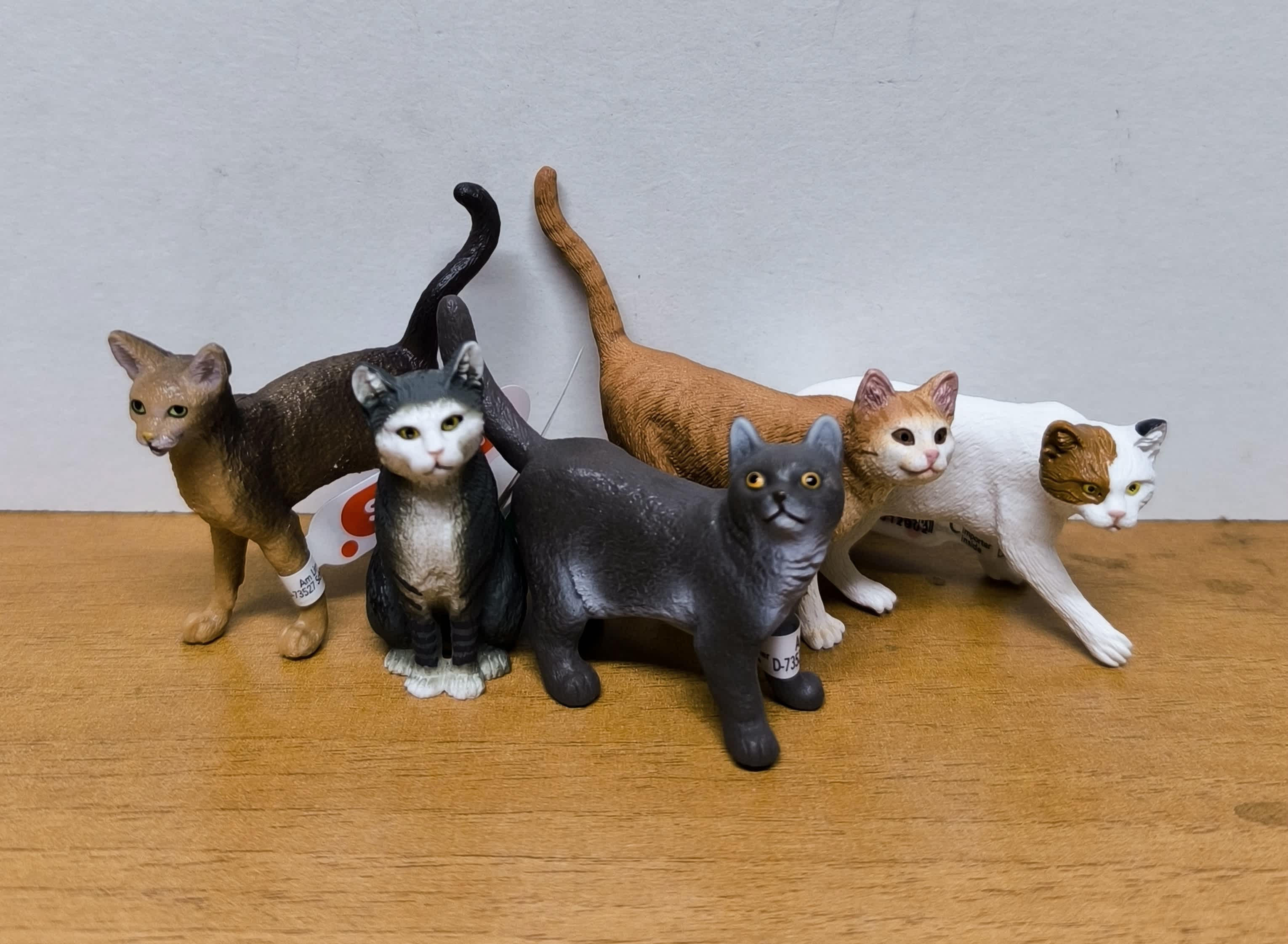 Pack Gatos