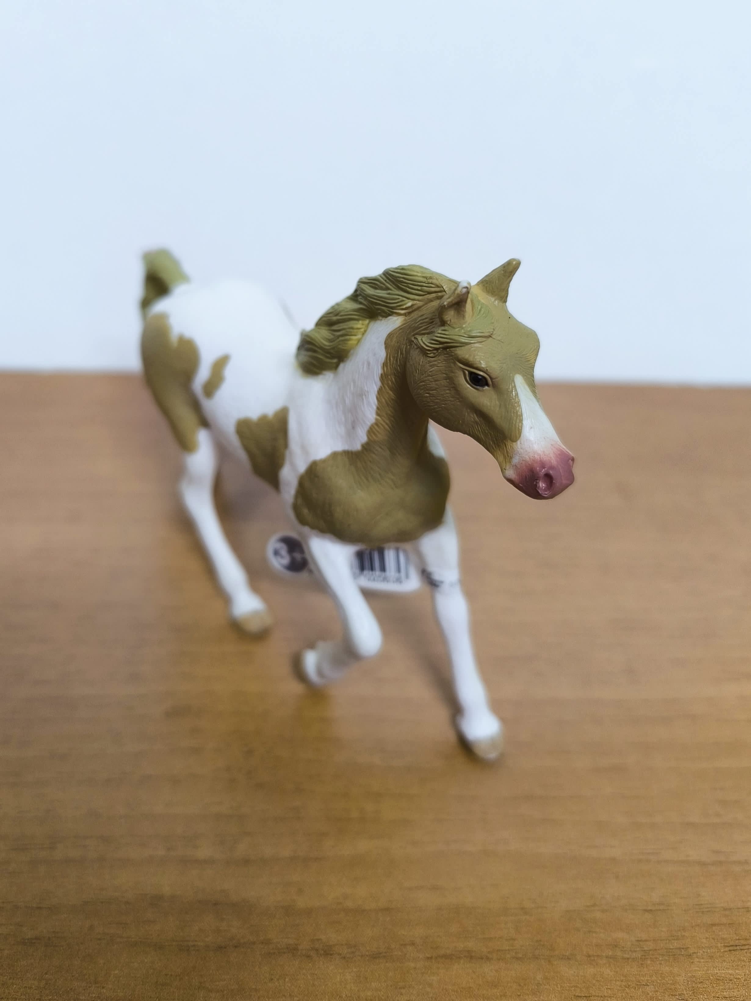Yegua Paint Horse
