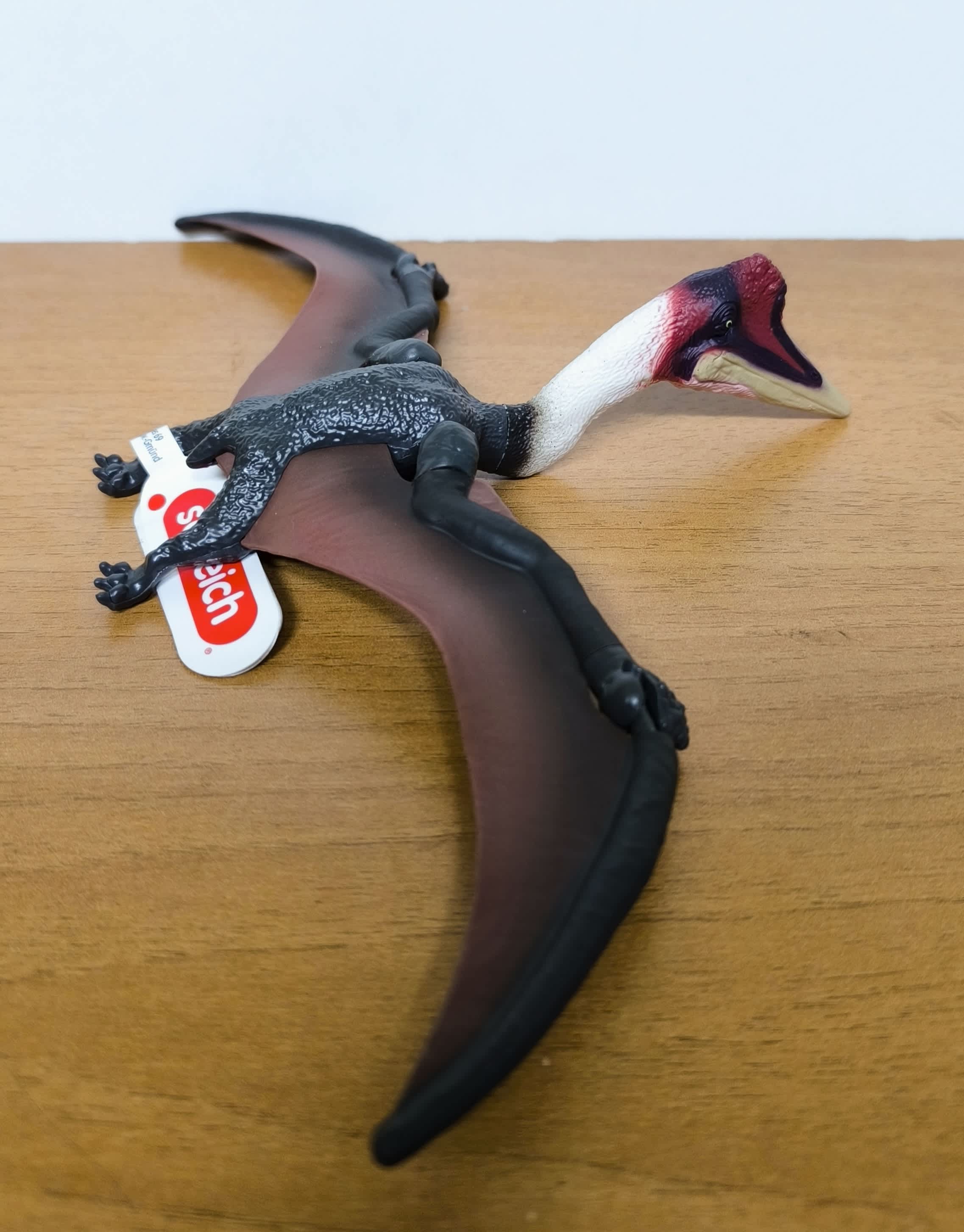 Dino 14