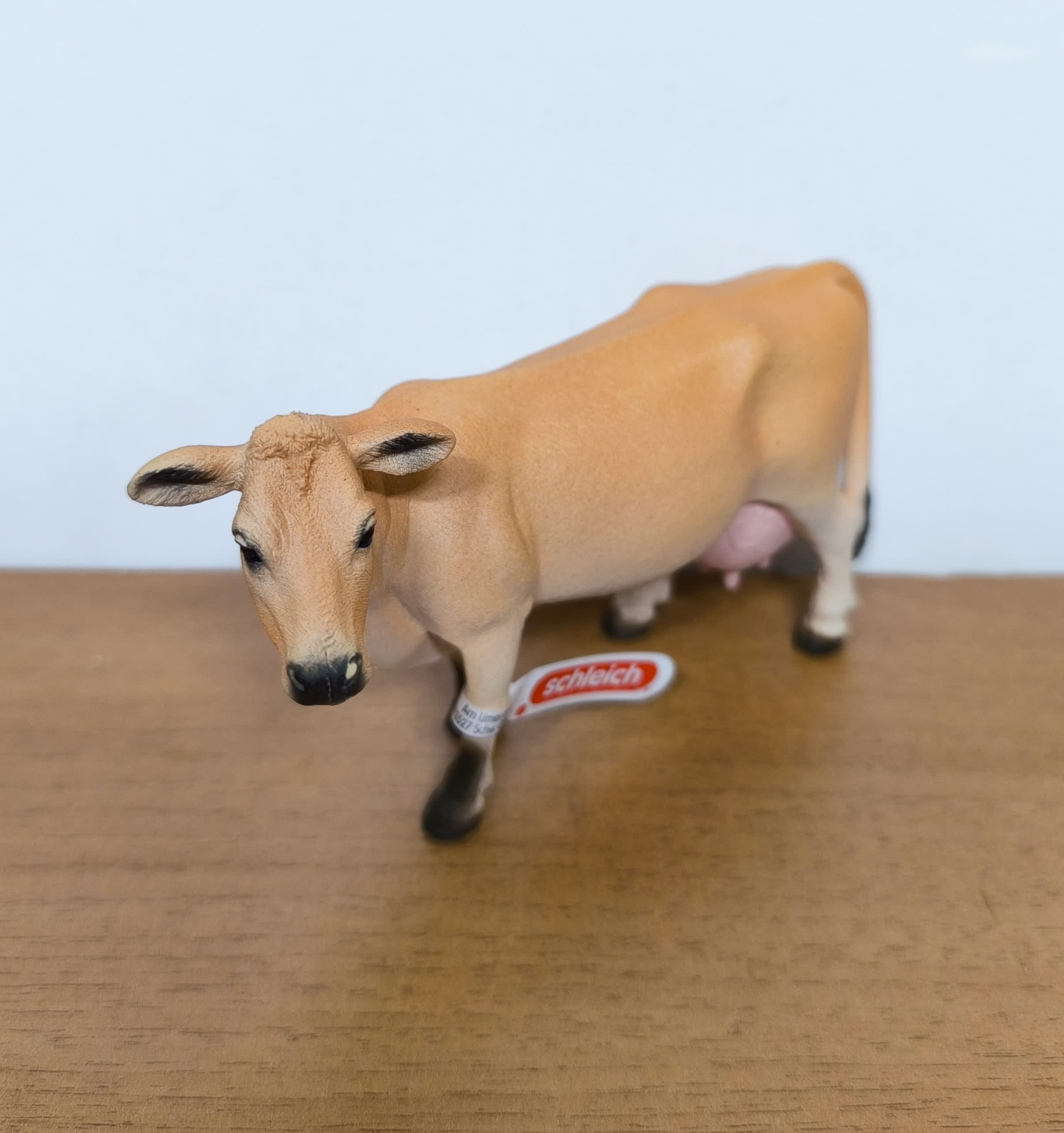 Vaca Jersey