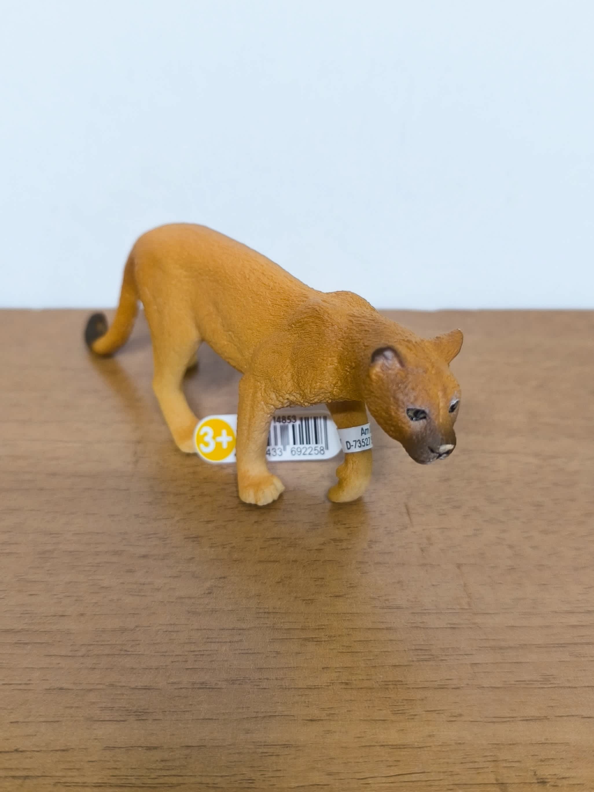 Puma